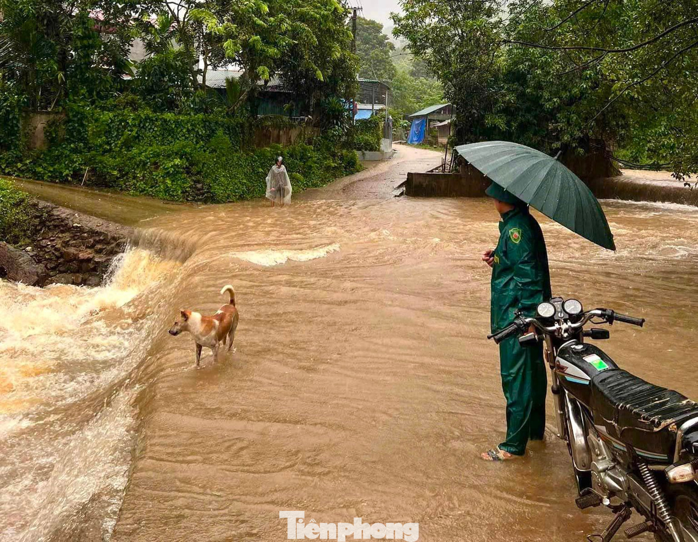 Trên địa bàn huyện Văn Yên, mưa lớn khiến nhiều tuyến đường nông thôn bị sạt lở, nước trên các sông, suối dâng cao gây thiệt hại nhiều về hoa màu, các địa phương đang tiến hành rà soát, lên phương án kịp thời khắc phục.