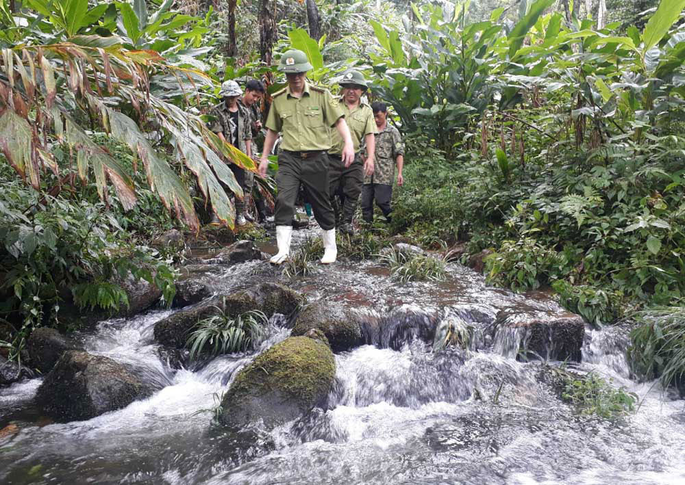 Cán bộ kiểm lâm Lào Cai phối hợp cùng người dân tuần tra bảo vệ rừng. Ảnh: Tất Đạt.