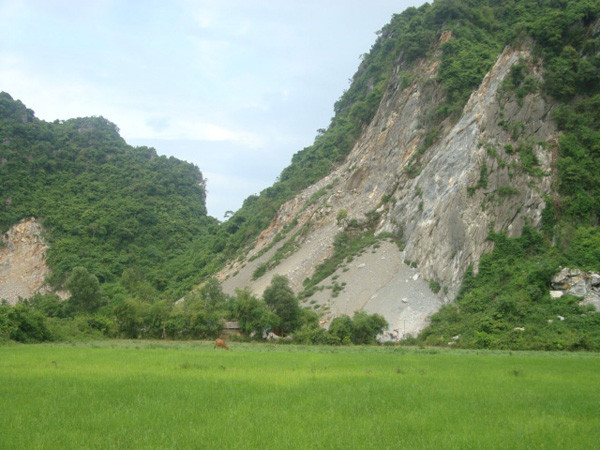 Ở Phong Nha - Kẻ Bàng, núi đang bị san, khỉ đang bị giết