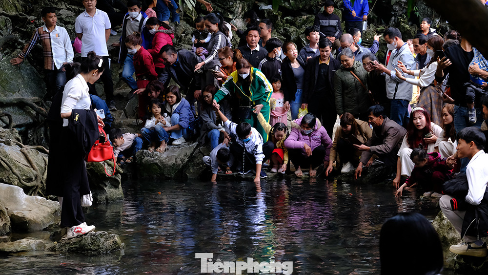 Theo ghi nhận của phóng viên trong ngày 26/1 (tức mùng 5 Tết), tại suối cá thần Cẩm Lương (huyện Cẩm Thủy, tỉnh Thanh Hóa) đã có hàng nghìn du khách đến tham quan điểm du lịch này.