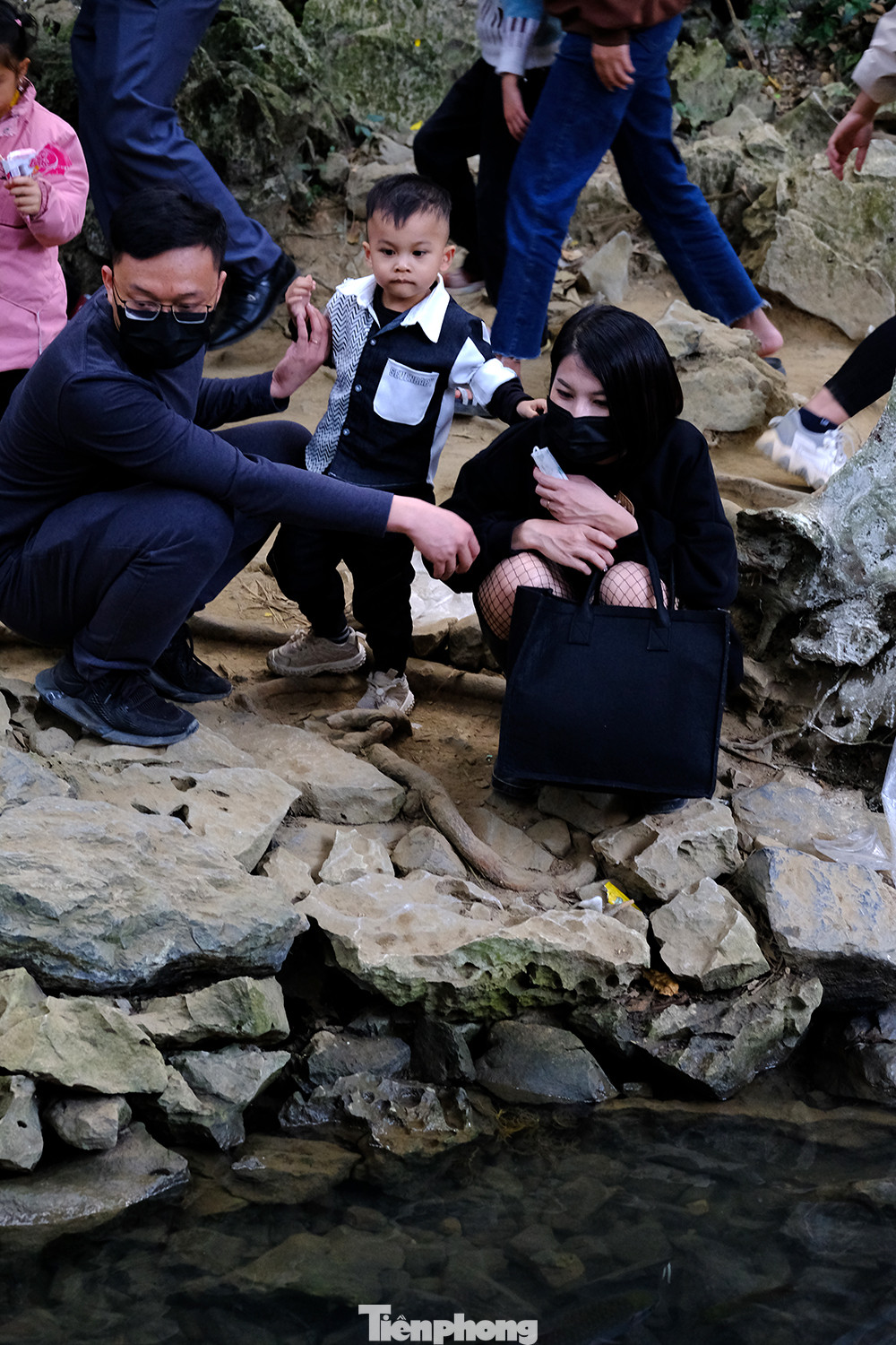 Du khách chăn chú quan sát đàn cá dày đặc đang bơi trong dòng nước trong veo của suối cá thần.