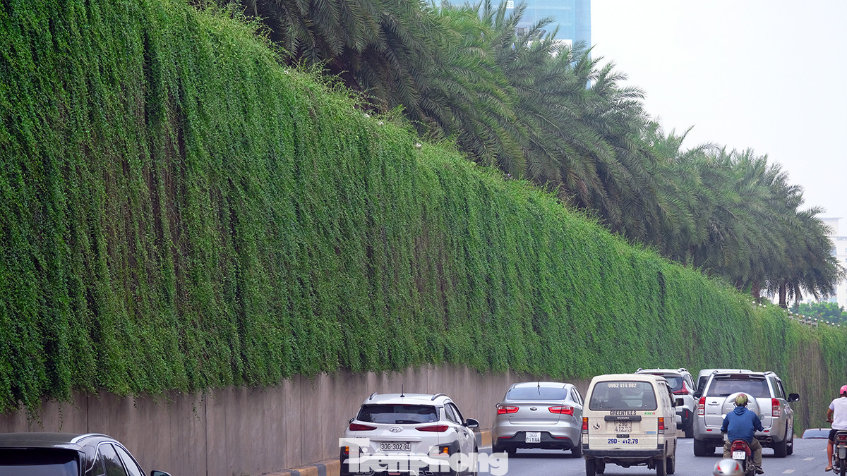 Nhiều người đánh giá cao việc phủ cây xanh tại các khu vực của Hà Nội.