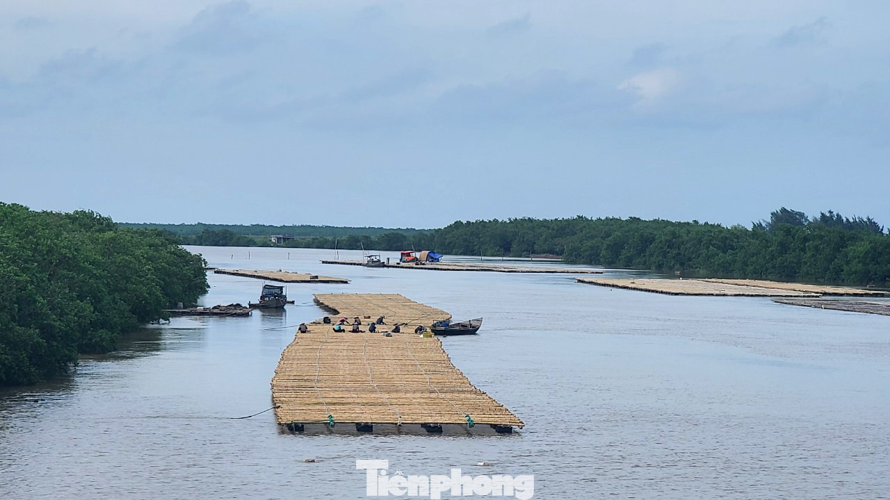 Theo quyết định này, Khu kinh tế Thái Bình có quy mô trên 30.583ha, gồm 30 xã, một thị trấn của hai huyện Tiền Hải và Thái Thụy. Đối với Tiền Hải, Khu kinh tế bao phủ hầu hết các xã ven biển của tỉnh Thái Bình, gồm cả Nam Phú, Nam Hưng và Nam Thịnh, nơi có Khu bảo tồn thiên nhiên đất ngập nước Tiền Hải. Trong ảnh là khu nuôi trồng thủy hải sản và diện tích rừng ngập mặn của xã Nam Phú.