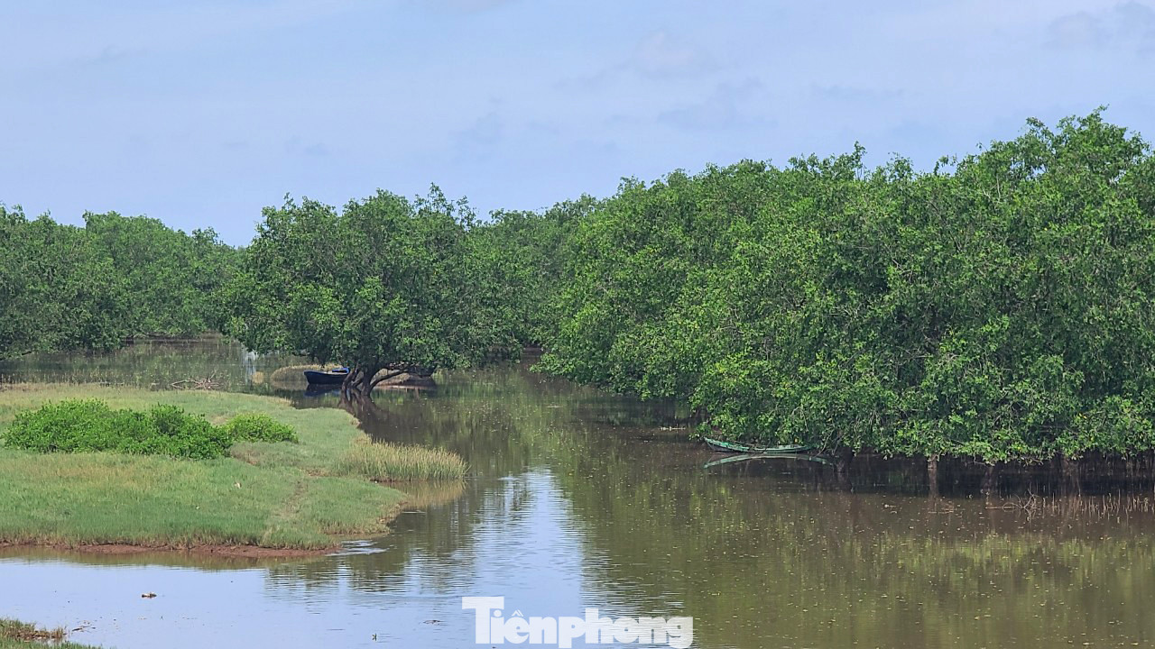 Quyết định 2159 cũng xác lập vị trí của Khu bảo tồn nằm ở tả ngạn cửa Ba Lạt thuộc huyện Tiền Hải, ranh giới phía Tây giáp đê thuộc các xã Nam Phú, Nam Hưng và Nam Thịnh. Phía Nam Khu bảo tồn là sông Hồng, phía Đông là dải cồn cát cao Cồn Vành, Cồn Thủ từ cửa Ba Lạt đến cửa Lân, tiếp giáp với biển. Trong ảnh là cửa biển Ba Lạt, dải cồn cát Cồn Vành.