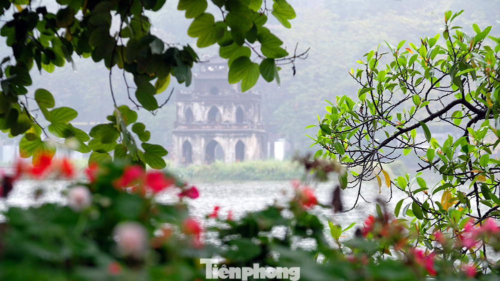 Góc Hồ Gươm xanh mướt hoa lá như lạc vào một khoảng trời của khu rừng nhiệt đới.