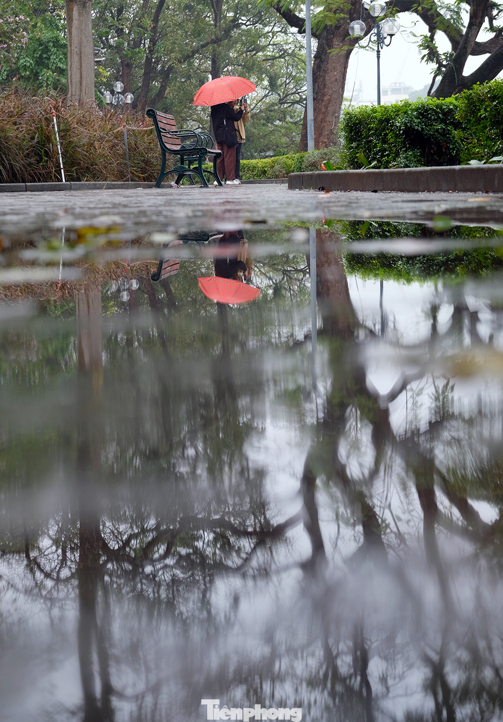 Hồ Gươm trong mưa đẹp như một bức tranh.