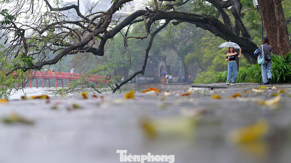 Ai ngang qua Hồ Gươm những ngày này ngỡ như đang ở trời Âu khi đi dưới những hàng cây thay lá.