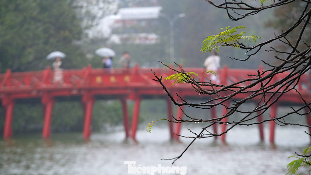 Đất trời, cỏ cây, hoa lá chuyển mình trong thời khắc giao mùa.