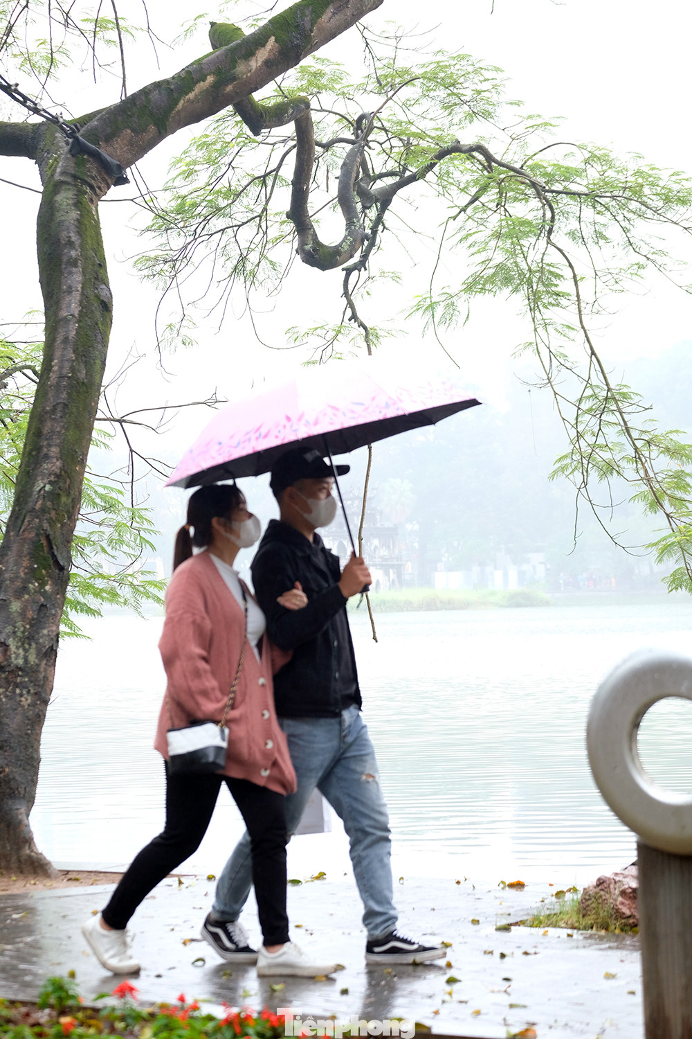 Chậm bước dưới mưa, lòng người thư thái đến lạ...