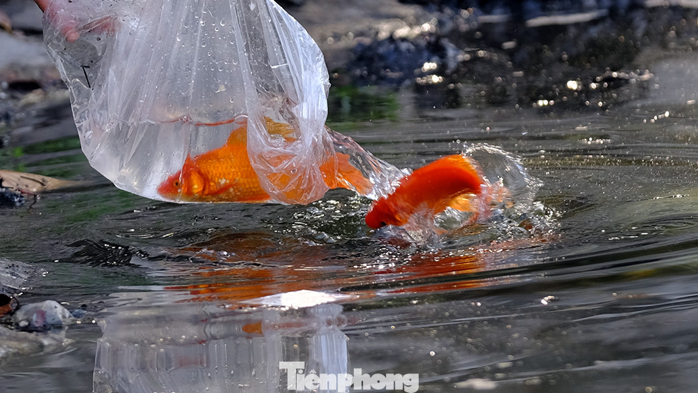 Theo quan niệm dân gian, cứ vào ngày 23 tháng Chạp hàng năm, Táo quân sẽ bay về trời, báo cáo tất cả việc làm tốt - xấu của con người để Thiên đình định đoạt công tội, thưởng phạt phân minh. Đến đêm Giao thừa, Táo quân mới trở lại trần gian để tiếp tục công việc trông coi bếp lửa gia đình.