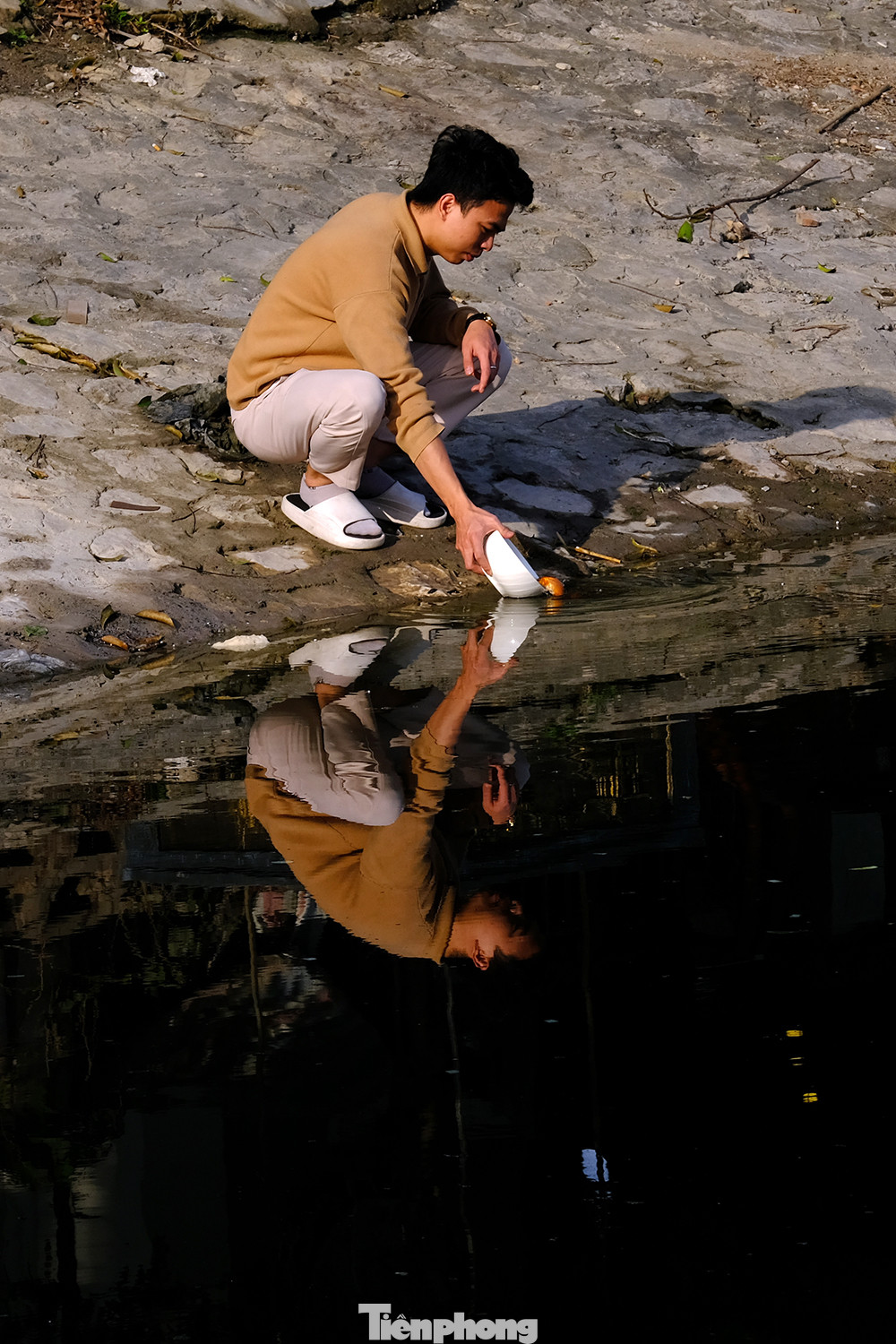 Cá chép phải được thả sát mặt nước và hết sức nhẹ nhàng để không làm tổn thương chúng.