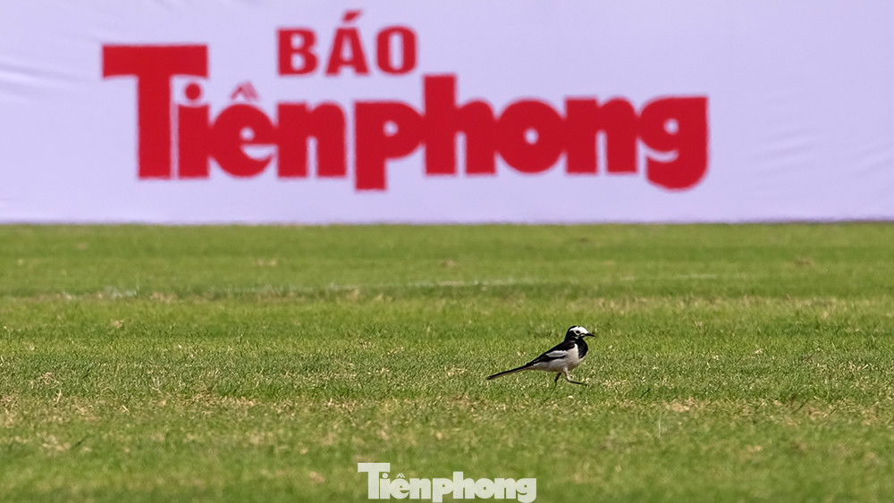 Công tác chuẩn bị cho trận Siêu cúp bóng đá Quốc gia - Cúp THACO năm 2022 đã hoàn tất. Công tác chuẩn bị cho trận Siêu cúp bóng đá Quốc gia - Cúp THACO năm 2022 đã hoàn tất.