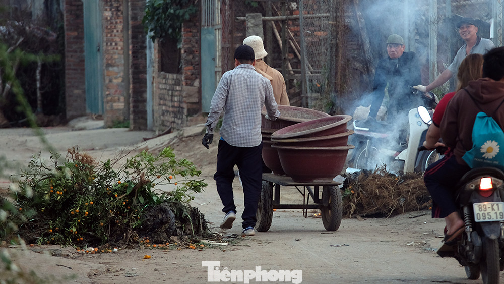 Những chậu trồng cây được người dân đưa về tận vườn để ươm trồng.