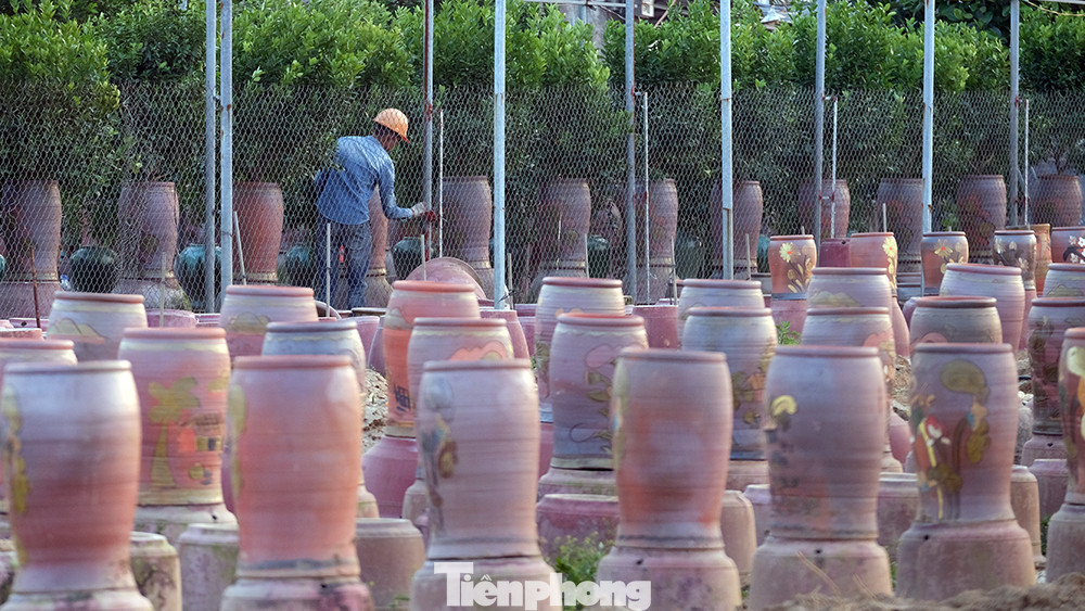 Những vườn quất cảnh mới lại bắt đầu được xây dựng để chuẩn bị cho một năm nuôi trồng và chăm sóc tiếp theo.