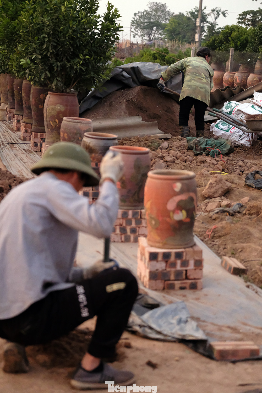 Không khí lao động, chăm sóc cây tại đây rất nhộn nhịp, khẩn trương.