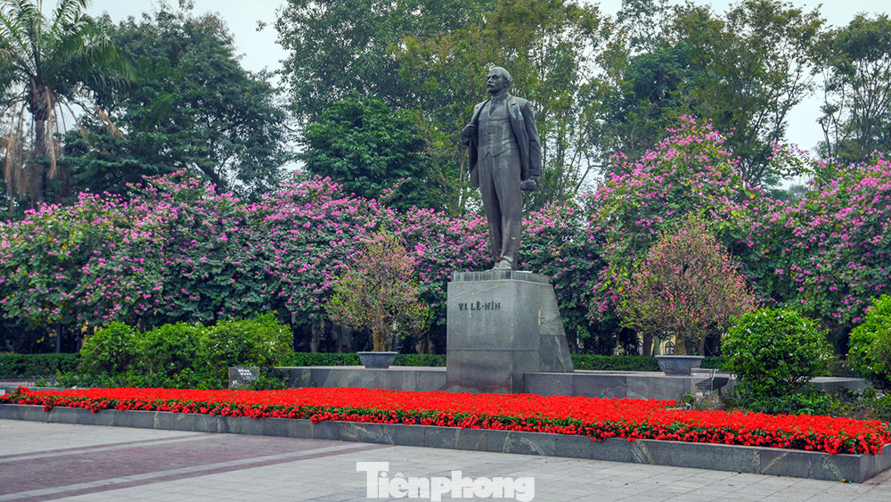 Nơi được coi là nhiều hoa ban tím nhất là khu vực quảng trường công viên Lê Nin trên đường Điện Biên Phủ (đối diện Cột Cờ Hà Nội). Nơi được coi là nhiều hoa ban tím nhất là khu vực quảng trường công viên Lê Nin trên đường Điện Biên Phủ (đối diện Cột Cờ Hà Nội).