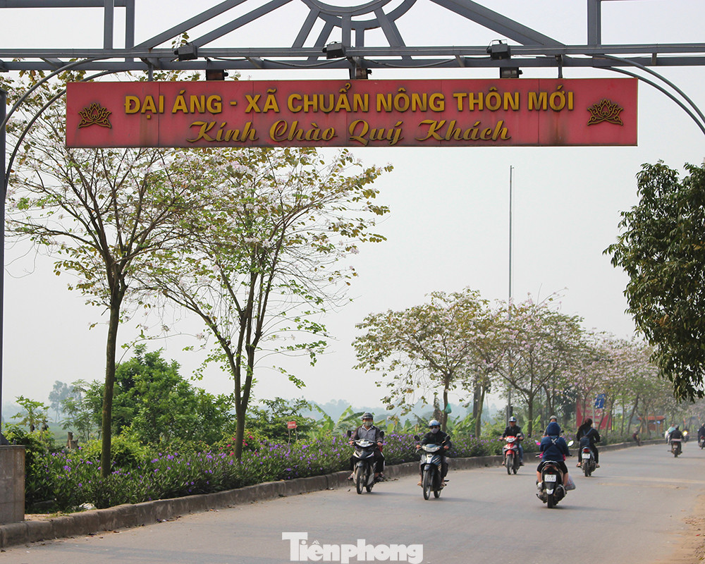 Đi xa hơn một chút, mọi người có thể đến con đường tại thôn Vĩnh Trung và Vĩnh Thịnh (xã Đại Áng, huyện Thanh Trì, Hà Nội). Đi xa hơn một chút, mọi người có thể đến con đường tại thôn Vĩnh Trung và Vĩnh Thịnh (xã Đại Áng, huyện Thanh Trì, Hà Nội).