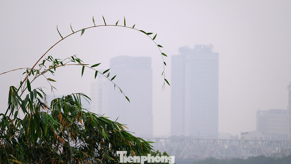 Theo dự báo của Trung tâm Dự báo Khí tượng Thủy văn Trung ương, hiện tượng sương mù sẽ diễn ra hết buổi sáng nay và cũng có thể xuất hiện lại trong thời gian tới.