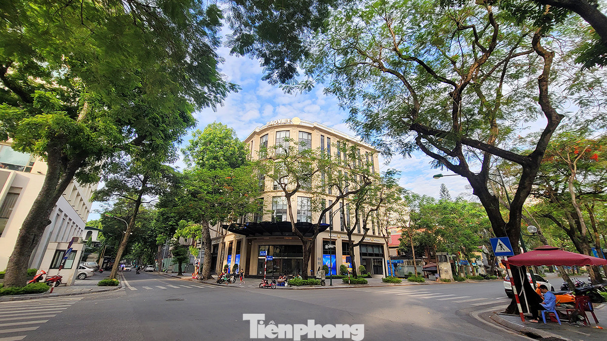 Tuyến phố này có nhiều tòa nhà công sở cũng như một số cơ quan nhà nước. Nhiều biệt thự cổ vẫn còn nguyên vẹn.