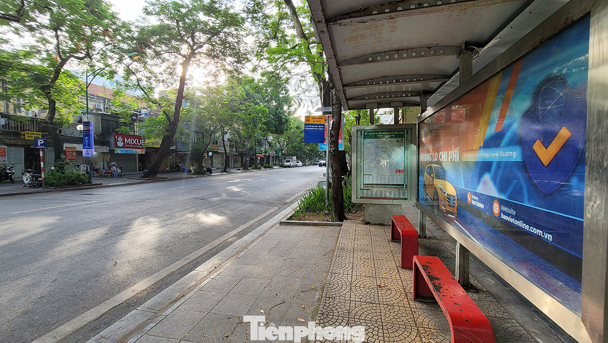 Nơi đây có hạ tầng giao thông phát triển. Nhà chờ xe buýt, các làn đường rộng và vỉa hè thông thoáng sẽ tạo điều kiện thuận lợi cho người dân di chuyển dễ dàng.