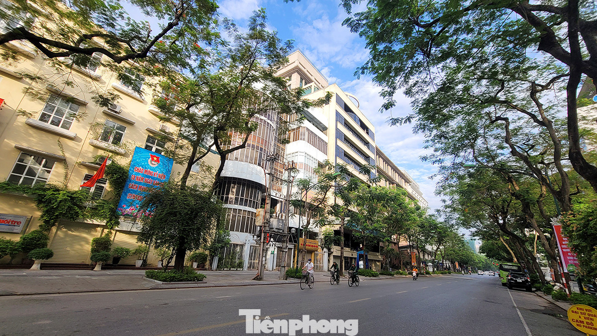 Tuyến phố này có nhiều tòa nhà công sở cũng như một số cơ quan nhà nước. Nhiều biệt thự cổ vẫn còn nguyên vẹn.