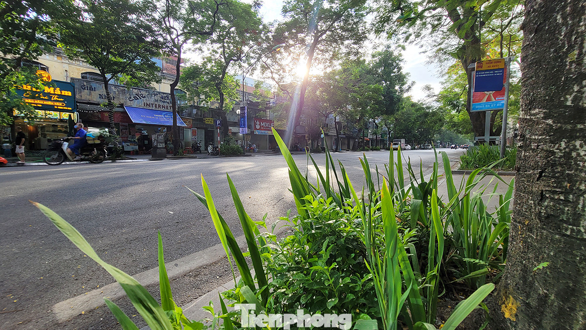 Nơi đây có hạ tầng giao thông phát triển. Nhà chờ xe buýt, các làn đường rộng và vỉa hè thông thoáng sẽ tạo điều kiện thuận lợi cho người dân di chuyển dễ dàng.