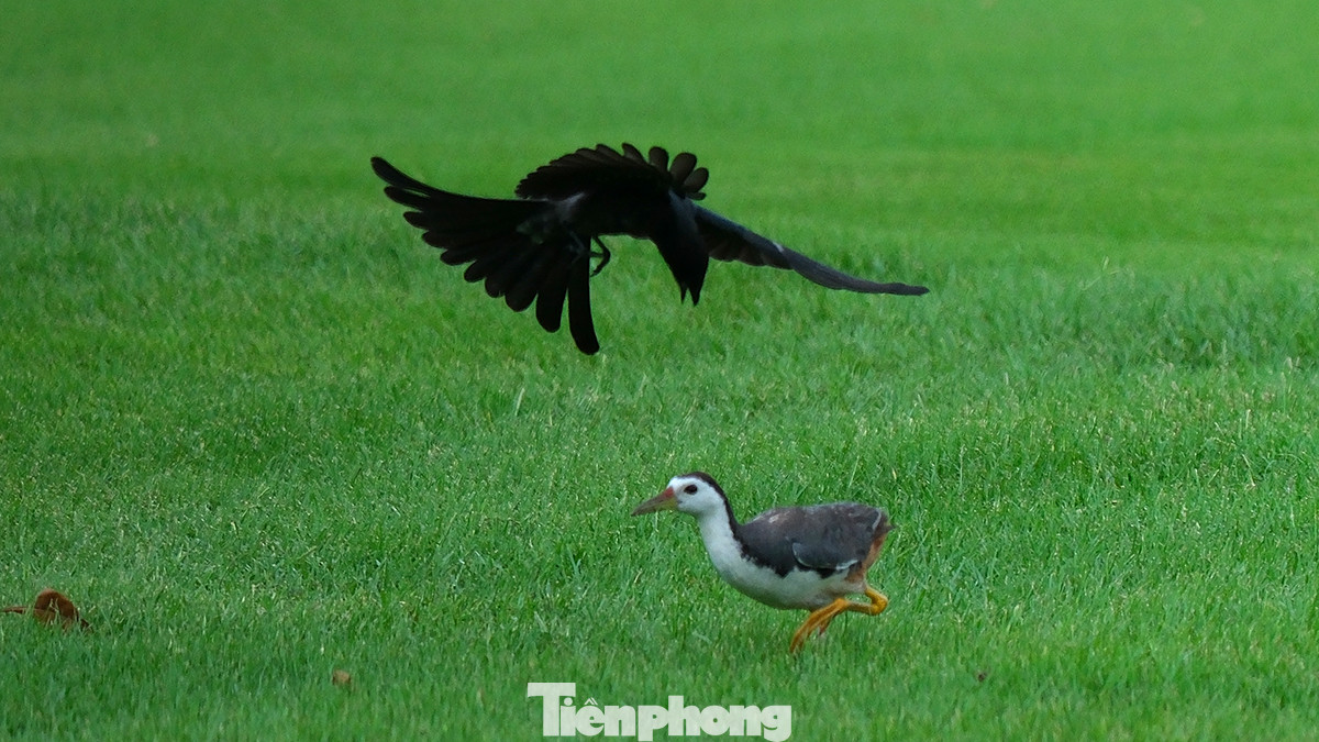 Vinpearl Golf Hải Phòng là sân thi đấu chính thức của Giải Vô địch Golf Quốc gia năm 2023 - Cúp VinFast. Vinpearl Golf Hải Phòng là sân thi đấu chính thức của Giải Vô địch Golf Quốc gia năm 2023 - Cúp VinFast.