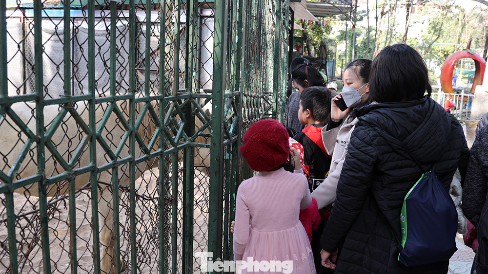 Thú nuôi luôn được các bạn trẻ mua đồ cho ăn.