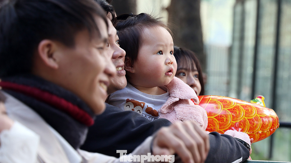 Vẻ ngạc nhiên hiện rõ trên những khuôn mặt của trẻ nhỏ khi lần đầu được nhìn thấy những loài động vật lạ lẫm.