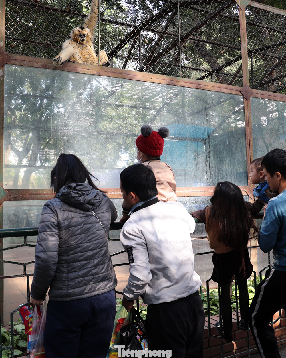 Những nơi nuôi nhốt động vật nguy hiểm hay tinh nghịch như khỉ, lan can sắt được lắp đặt bao quanh để tránh trẻ em tiếp xúc quá gần gây nguy hiểm.