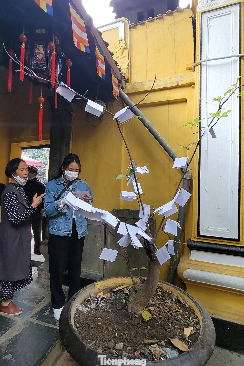 Tuy nhiên nhiều người bốc được những quẻ không đẹp đã gác lại trên những chậu hoa, cây cảnh trong sân chùa tạo nên hình ảnh rất phản cảm nơi cửa phật.