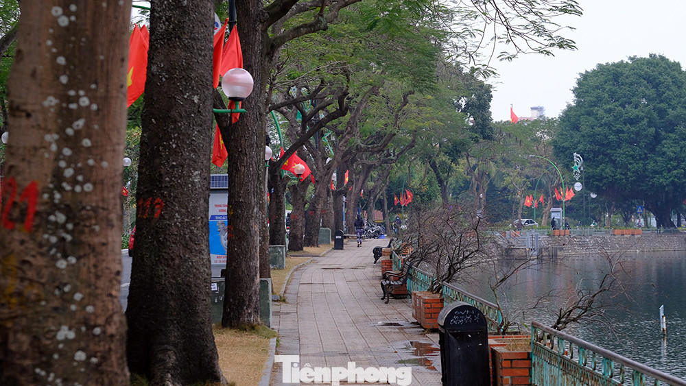 Một đoạn đường Thanh Niên trong buổi sáng đầu xuân năm mới.