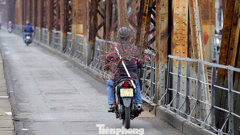 Thời tiết vui xuân đón Tết năm nay được coi là "hoàn hảo" với thời tiết không quá lạnh, trời tạnh ráo. Một vài ngày có nắng nhẹ.