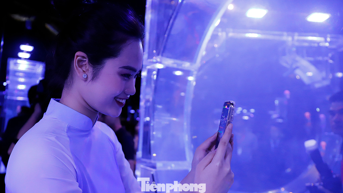 Các bạn trẻ thỏa sức chụp hình những sinh vật biển vô cùng đáng yêu trong bể kính.