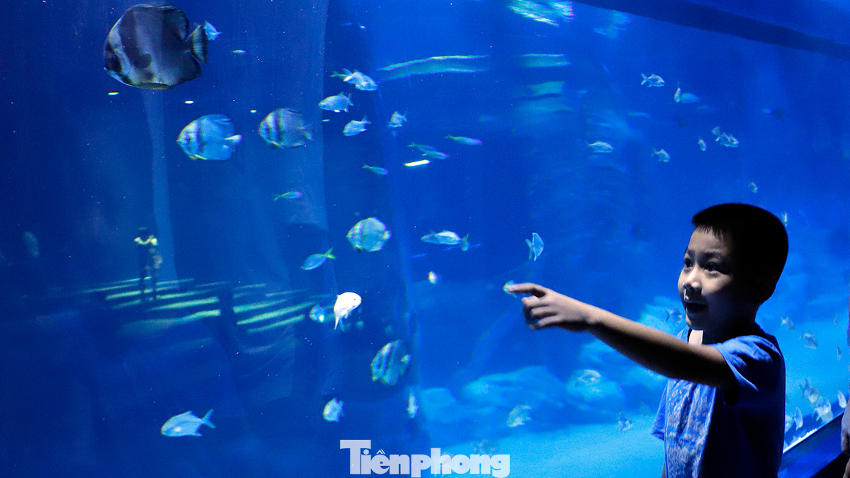 Đây là sản phẩm du lịch kết hợp giữa vẻ đẹp của văn hóa - thiên nhiên Việt Nam cùng công nghệ hiện đại của thế giới.