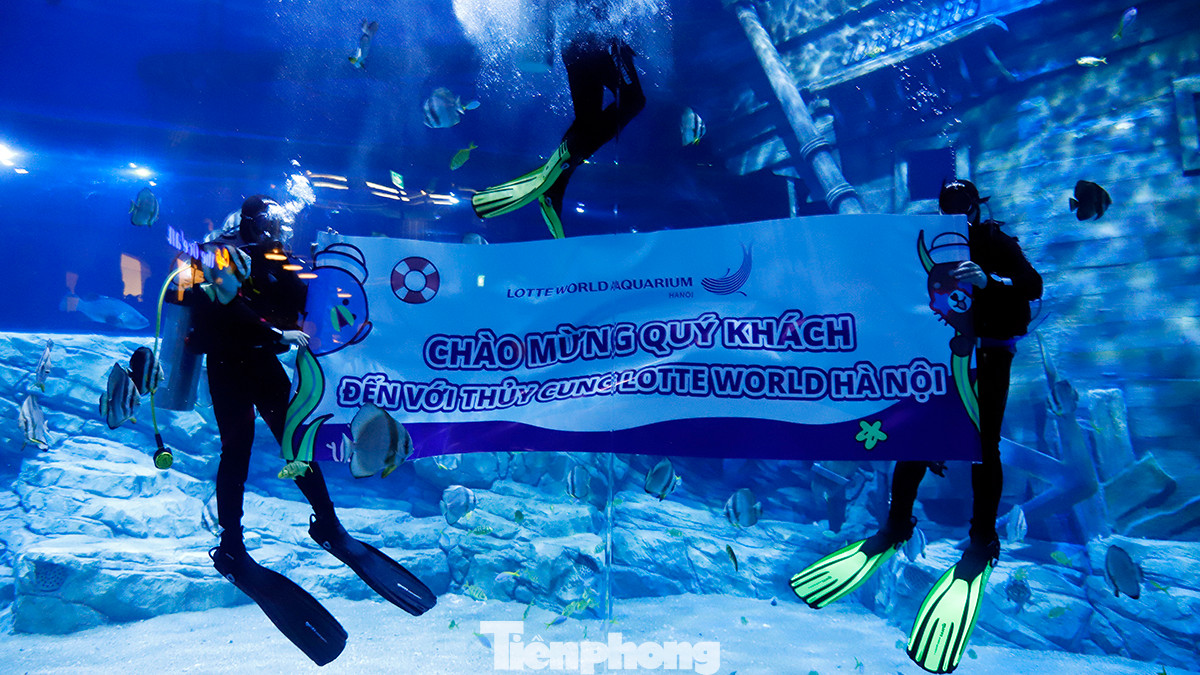 Ngày hôm nay (1/8), thủy cung Lotte World Hà Nội (đường Lạc Long Quân, quận Tây Hồ) chính thức khai trương, nơi đây mang đến một thế giới đại dương đầy sắc màu với nhiều hoạt động trải nghiệm thú vị.