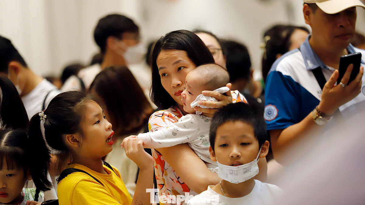 Giá vé tham quan thủy cung thay đổi tùy theo ngày. Cụ thể, từ thứ 2 đến 6 giá vé người lớn là 280 nghìn, trẻ em là 190 nghìn đồng; Thứ 7 và Chủ nhật giá vé người lớn là 350 nghìn đồng, trẻ em là 250 nghìn đồng; Trẻ em có chiều cao dưới 80 cm được miễn phí vào cửa.