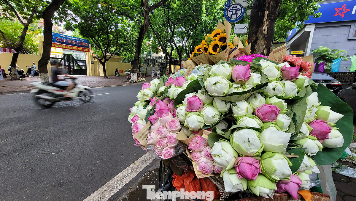 Những gánh hàng hoa sáng nay vắng bóng khách.