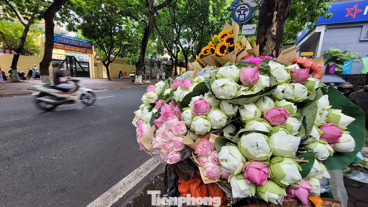 Những gánh hàng hoa sáng nay vắng bóng khách.