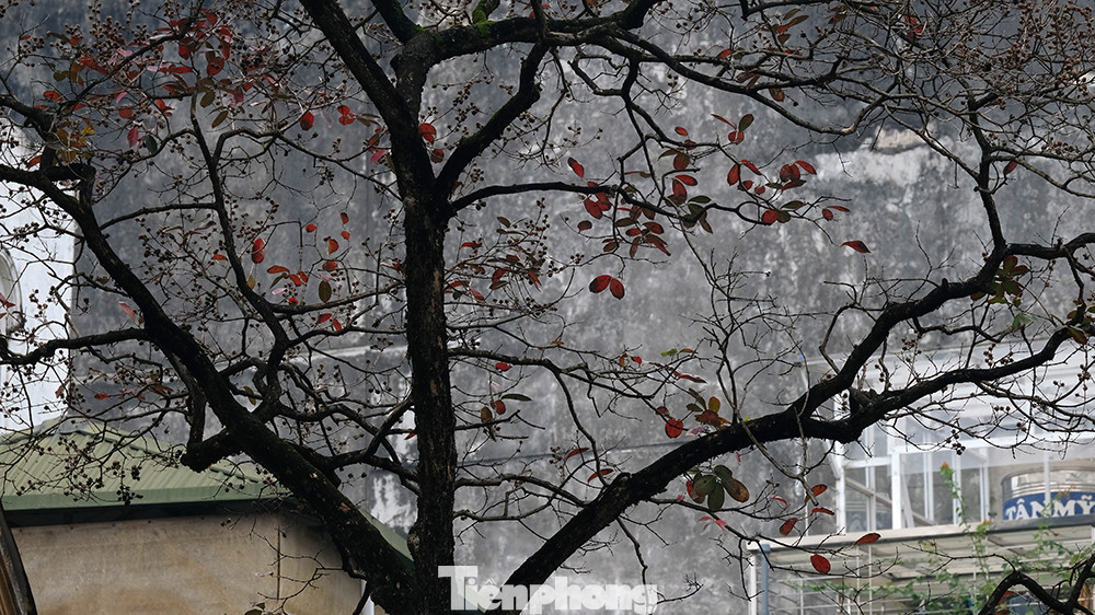 Trời Hà Nội u ám.