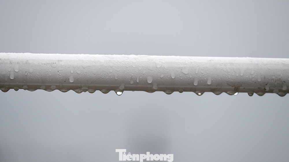 Độ ẩm trong không khí đạt ngưỡng 100%, với nhiệt độ vào khoảng 20 độ C.