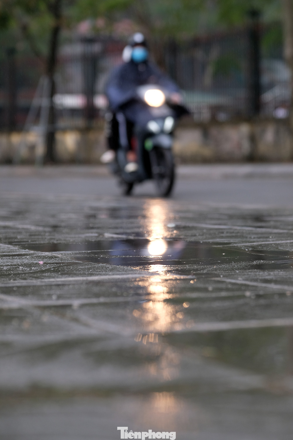 Hình thái hiện tượng thời tiết nồm ẩm tại Hà Nội và các tỉnh lân cận diễn ra là do gió Đông Nam tiếp tục hoạt động mạnh, liên tục đẩy ẩm từ vịnh Bắc Bộ vào sâu trong đất liền, trong đó có khu vực Hà Nội.