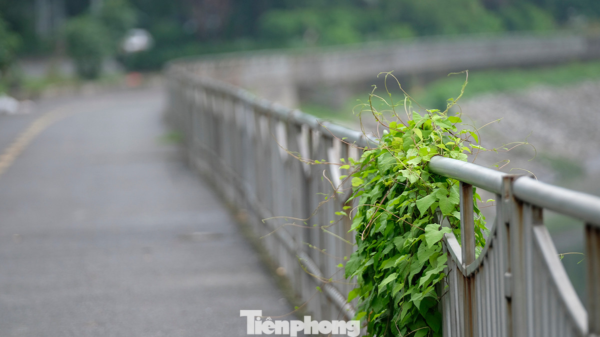Theo ghi nhận của phóng viên, trên tuyến đường đi bộ ven sông Tô Lịch, hiện nay không còn tình trạng tập kết và đổ trộm rác thải.