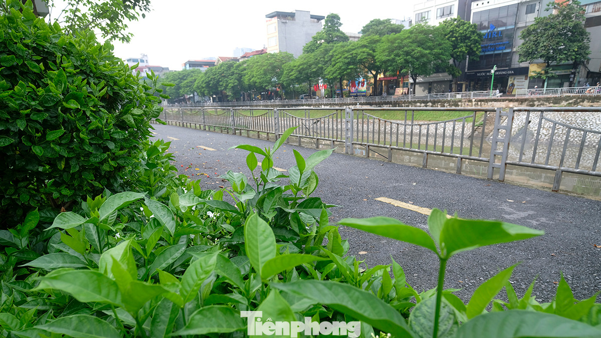 Lượng rác bị tập kết, đổ trộm trước đây đã được thu dọn tạo không gian thông thoáng, sạch đẹp.