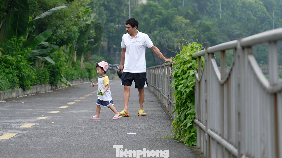 Người dân dẫn trẻ nhỏ ra chơi trên con đường rợp bóng cây xanh bên dòng sông Tô Lịch.