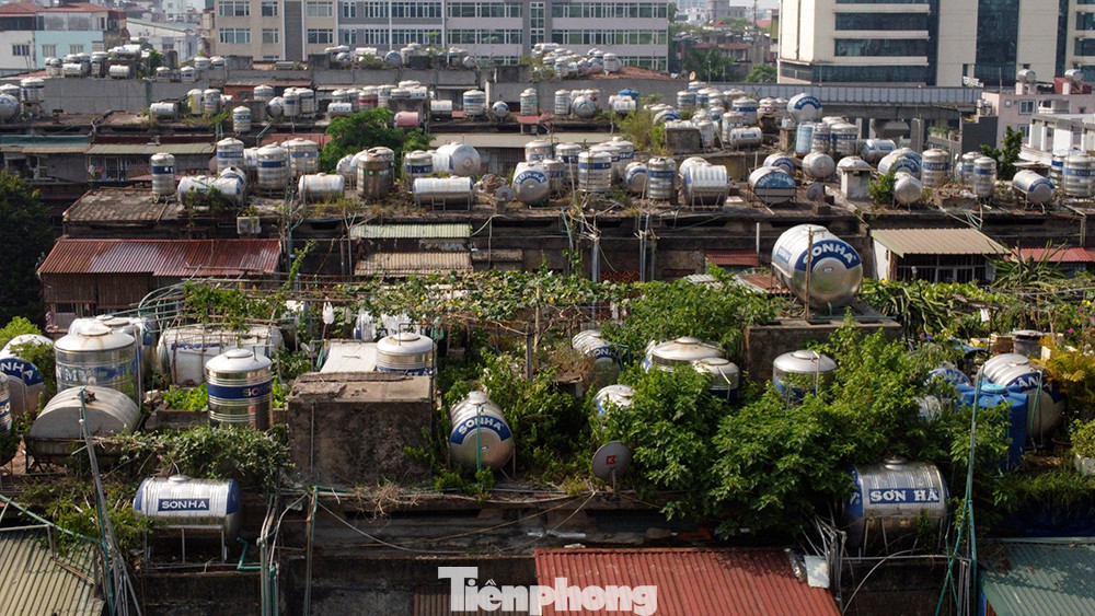 Trên tầng thượng của nhiều nhà tập thể, cây cối um tùm "chen" thêm hàng trăm bồn nước.