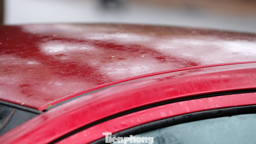 Mọi bề mặt đồ dùng hay xe đỗ ngoài trời luôn trong tình trạng đọng nước do độ ẩm trong không khí đạt ngưỡng gần 100%.