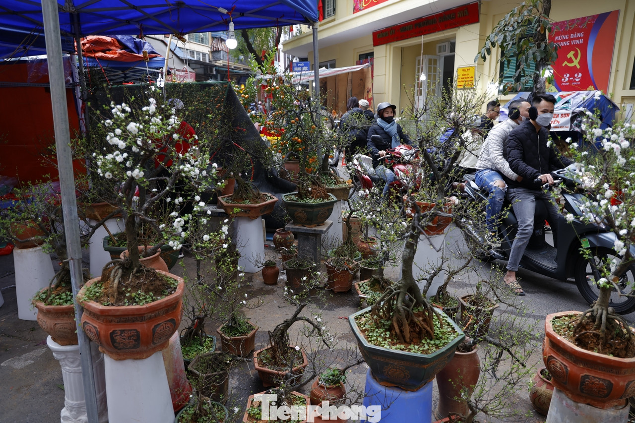 Những chậu hoa vẫn đợi khách mua về chiều 30 Tết.