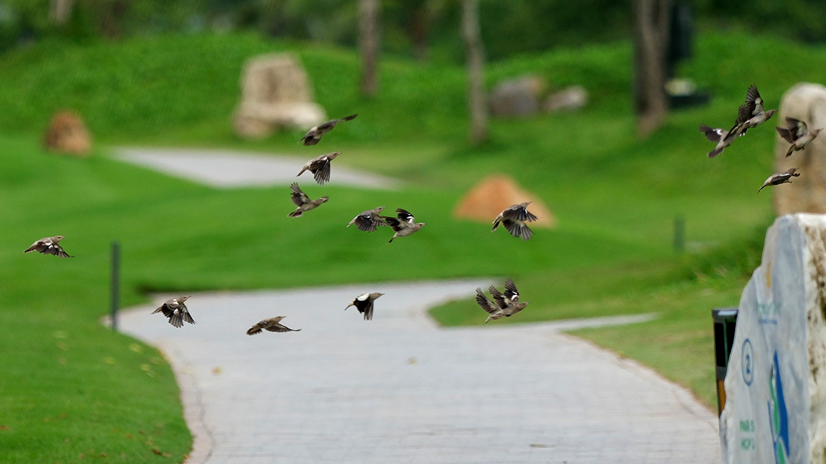 Đánh 66 gậy trong ngày đầu tiên, Nguyễn Đặng Minh lập kỷ lục tại Giải Vô địch Golf Quốc gia ảnh 52