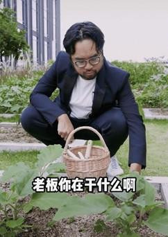 Nơi mà vị phú tam đại này trồng rau lại vô cùng đặc biệt. Nó nằm trên nóc một tòa nhà chọc trời ở Hồng Kông.